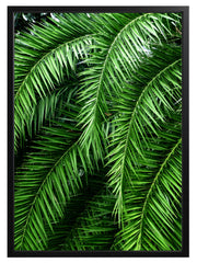 Hawaiian Palm Print