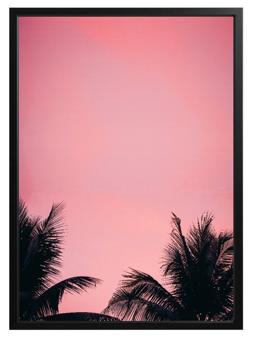 Pink Palms Print